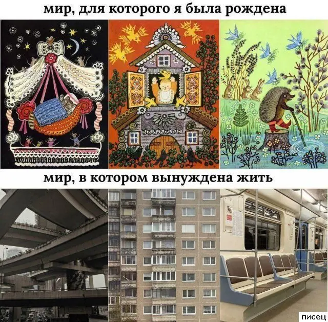 Женский юмор: неповторимая и обворожительная реальность в картинках