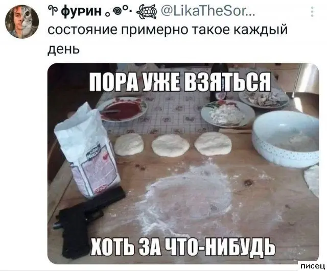 Смех до слёз: лучшие приколы из комментариев соцсетей