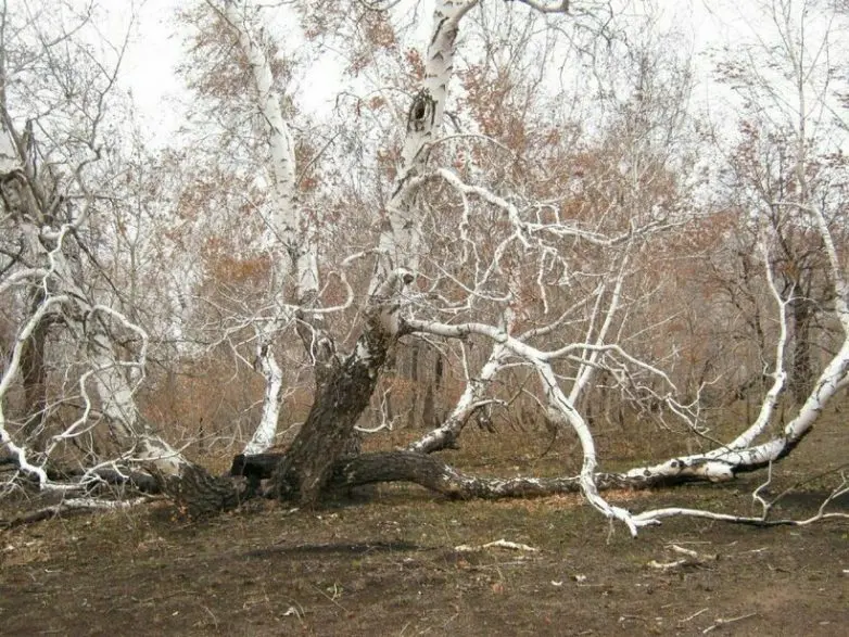 10 самых загадочных и мистических мест России