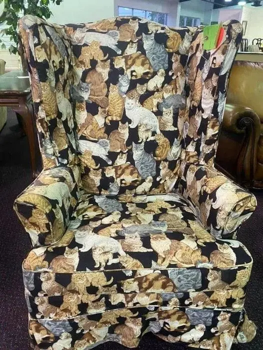 Самые странные вещи с блошиных рынков: от кошачьих кресел до гробов-столиков