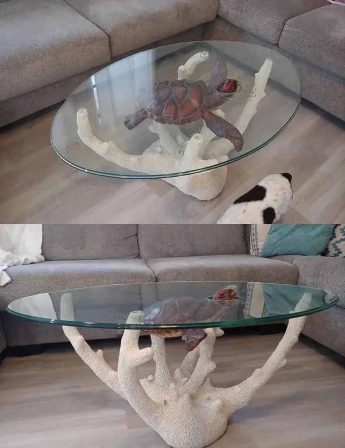 Самые странные вещи с блошиных рынков: от кошачьих кресел до гробов-столиков