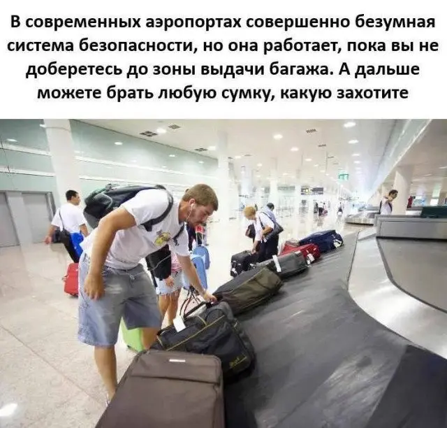 Хаотичная подборка: от офисного абсурда до странных котиков