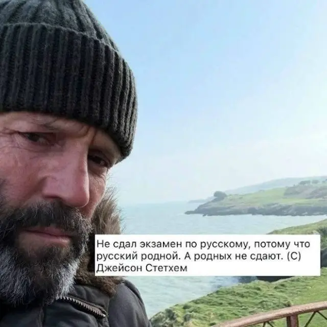 Хаотичная подборка: от офисного абсурда до странных котиков