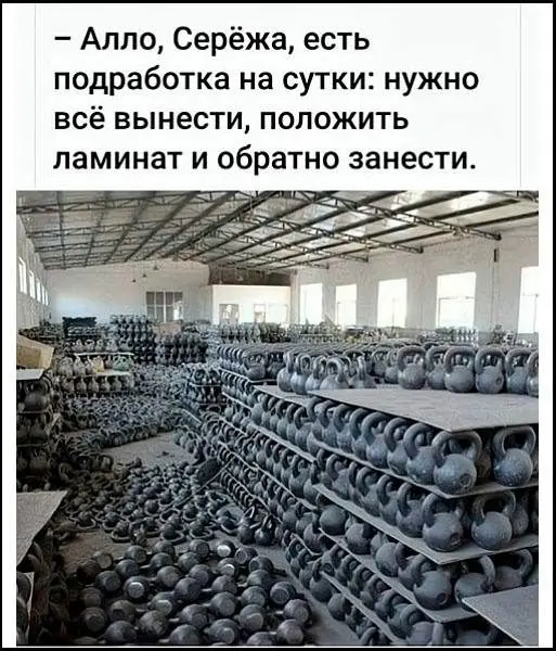 Хаотичная подборка: от офисного абсурда до странных котиков