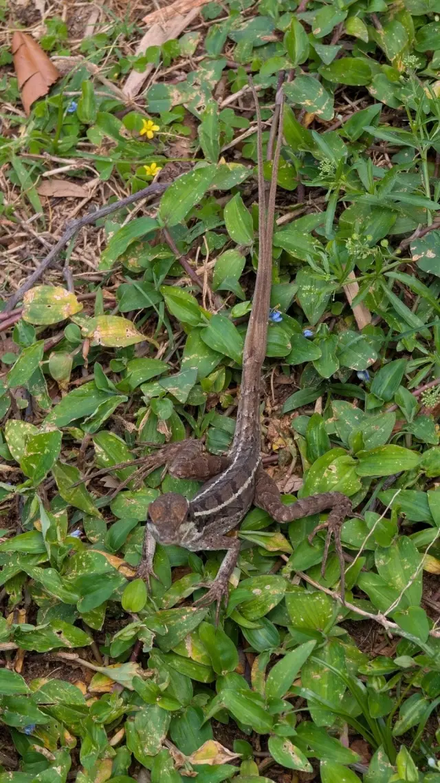 Причуды реальности: 20 удивительных моментов и странных совпадений