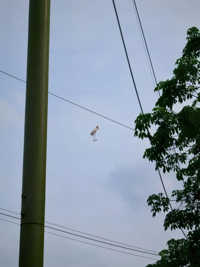 Причуды реальности: 20 удивительных моментов и странных совпадений