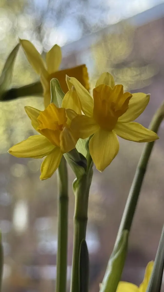 Причуды реальности: 20 удивительных моментов и странных совпадений