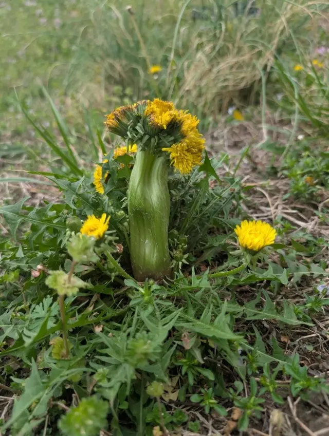 Причуды реальности: 20 удивительных моментов и странных совпадений