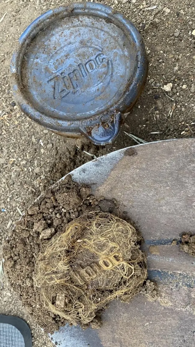 Причуды реальности: 20 удивительных моментов и странных совпадений