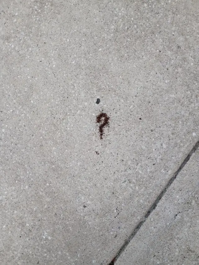 Причуды реальности: 20 удивительных моментов и странных совпадений