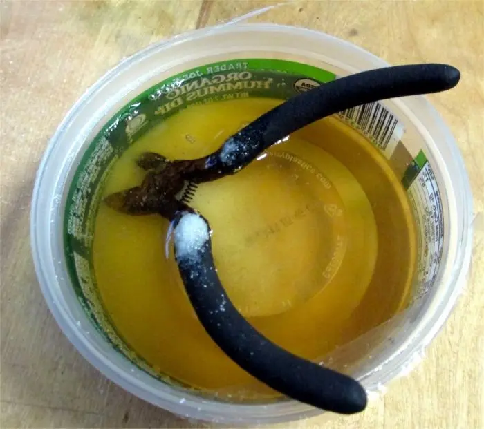 Как вернуть к жизни заржавевший инструмент: бюджетный метод с уксусом