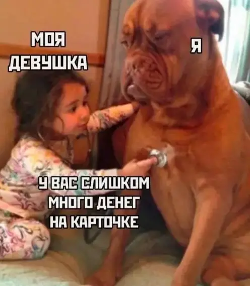 Пятничный заряд позитива: смех, мемы и хорошее настроение