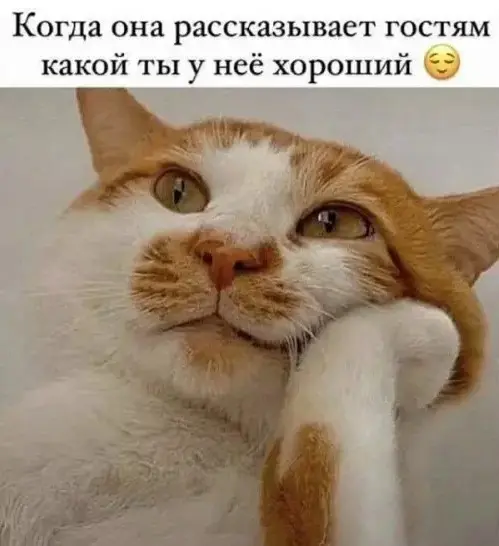 Пятничный заряд позитива: смех, мемы и хорошее настроение