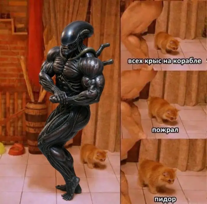 Пятничный заряд позитива: смех, мемы и хорошее настроение