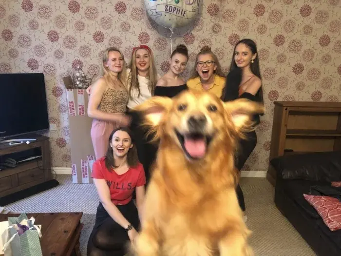 Питомцы-фотобомберы: 30 случаев, когда животные украли весь кадр