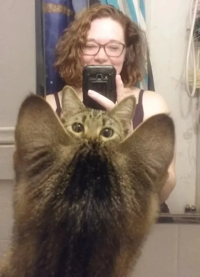 Питомцы-фотобомберы: 30 случаев, когда животные украли весь кадр