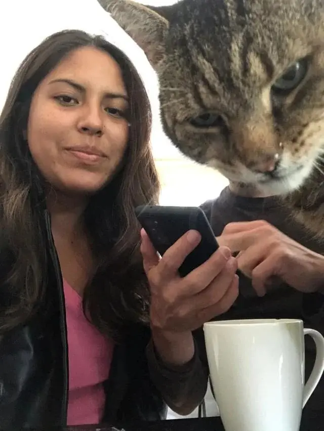 Питомцы-фотобомберы: 30 случаев, когда животные украли весь кадр