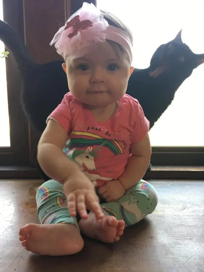 Питомцы-фотобомберы: 30 случаев, когда животные украли весь кадр