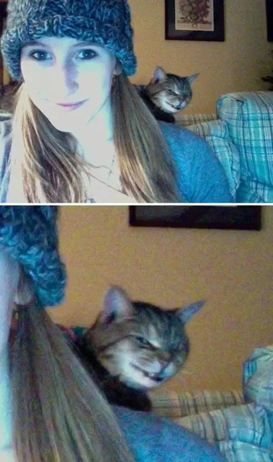 Питомцы-фотобомберы: 30 случаев, когда животные украли весь кадр