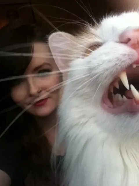 Питомцы-фотобомберы: 30 случаев, когда животные украли весь кадр