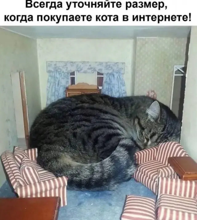 Пятничный заряд смеха: огромная подборка мемов и приколов