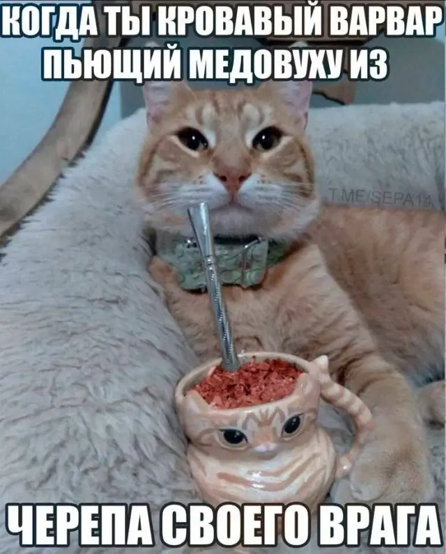 Пятничный заряд смеха: огромная подборка мемов и приколов