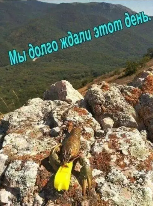 Пятничный заряд смеха: огромная подборка мемов и приколов