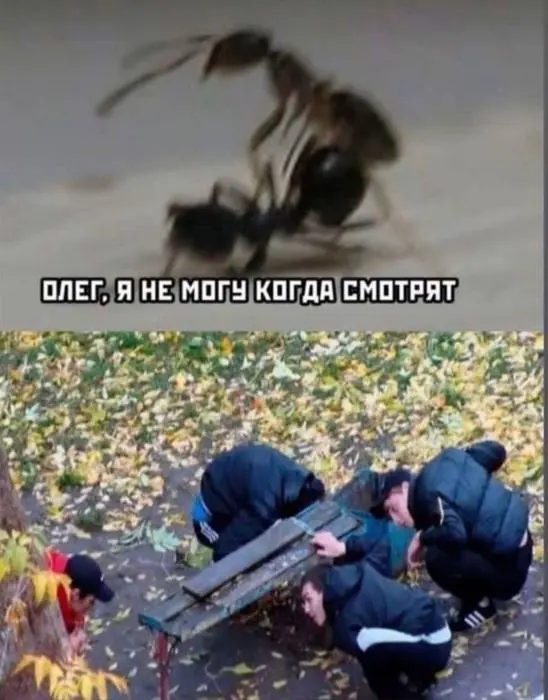 Пятничный заряд смеха: огромная подборка мемов и приколов