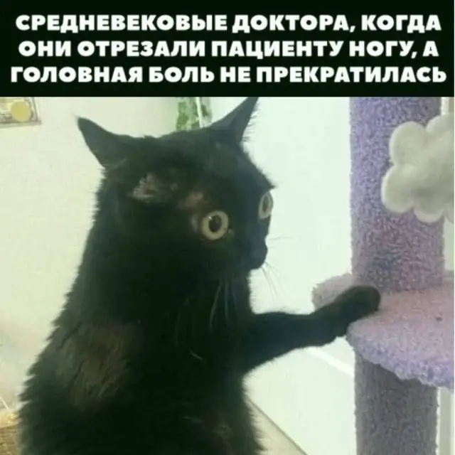 Пятничный заряд смеха: огромная подборка мемов и приколов