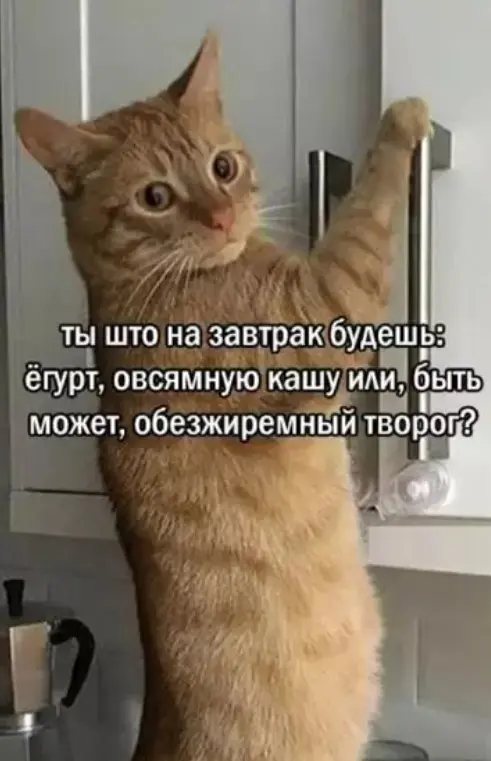 Пятничный заряд смеха: огромная подборка мемов и приколов