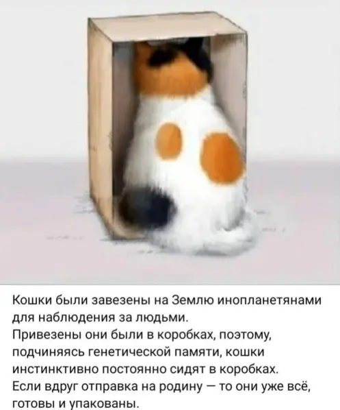 Пятничный заряд смеха: огромная подборка мемов и приколов