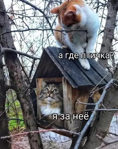 Пятничный заряд смеха: огромная подборка мемов и приколов