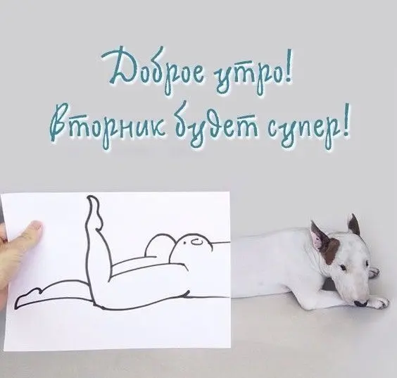 Пятничный заряд смеха: огромная подборка мемов и приколов