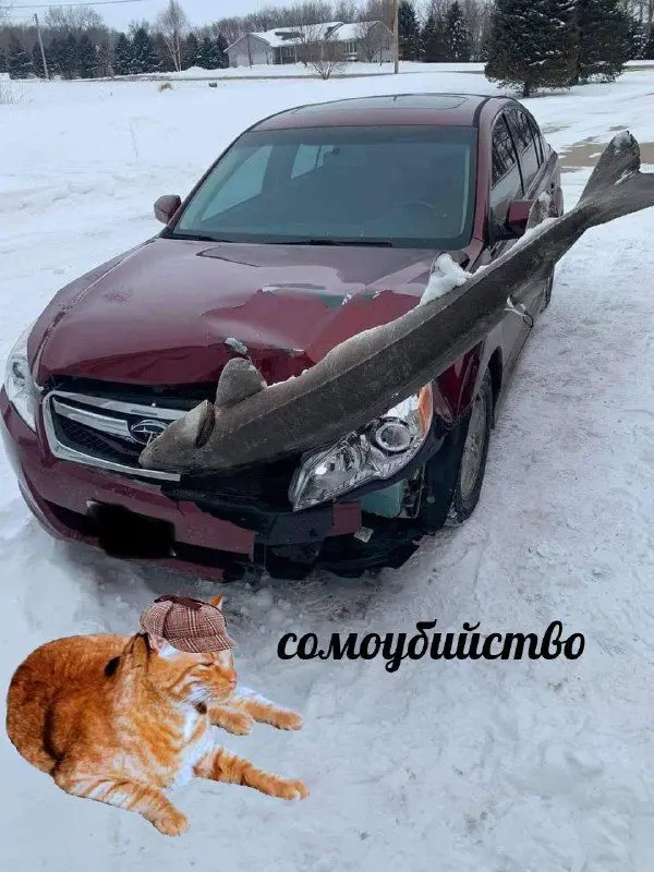 Пятничный заряд смеха: огромная подборка мемов и приколов