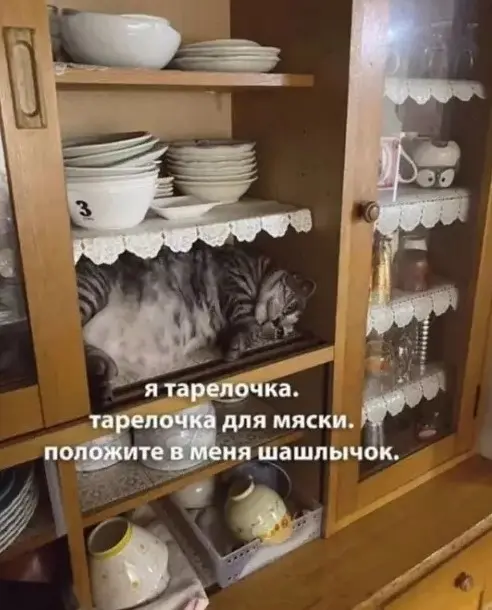 Пятничный заряд смеха: огромная подборка мемов и приколов