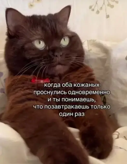 Пятничный заряд смеха: огромная подборка мемов и приколов