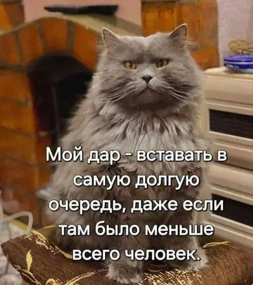 Пятничный заряд смеха: огромная подборка мемов и приколов
