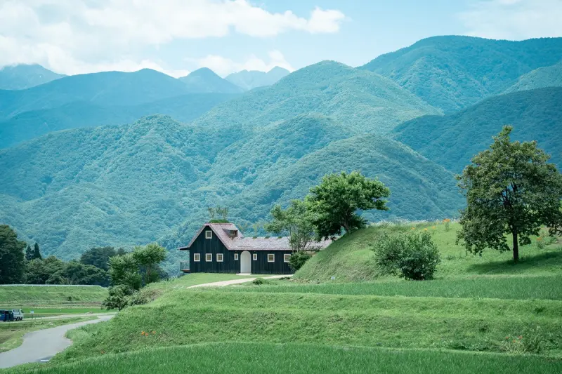Вишни на коньке: необычный японский дом, где сад растет на крыше