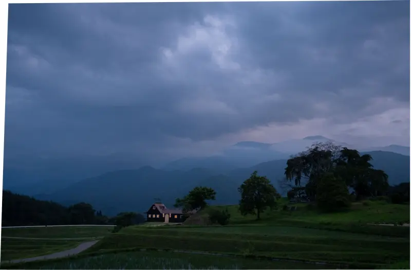 Вишни на коньке: необычный японский дом, где сад растет на крыше