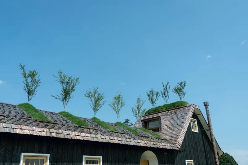 Вишни на коньке: необычный японский дом, где сад растет на крыше