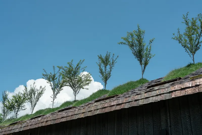 Вишни на коньке: необычный японский дом, где сад растет на крыше