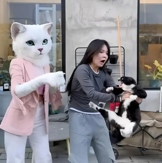 Пятничное утро с приколами: подборка для настроения