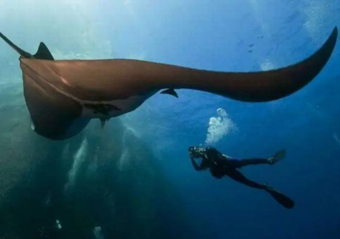 Пятничное утро с приколами: подборка для настроения