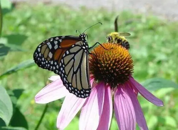 Пятничное утро с приколами: подборка для настроения