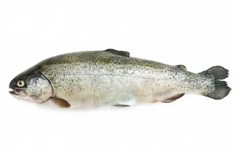 Самые нелепые запреты в мире