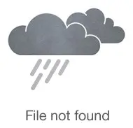 Ford Explorer Van: Электрический фургон для бизнеса с ценой от 4,2 млн рублей