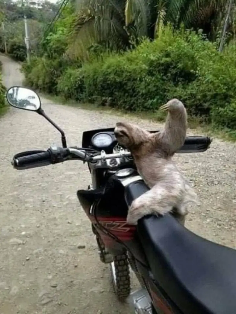 Забавные моменты из жизни, которые попали в объектив