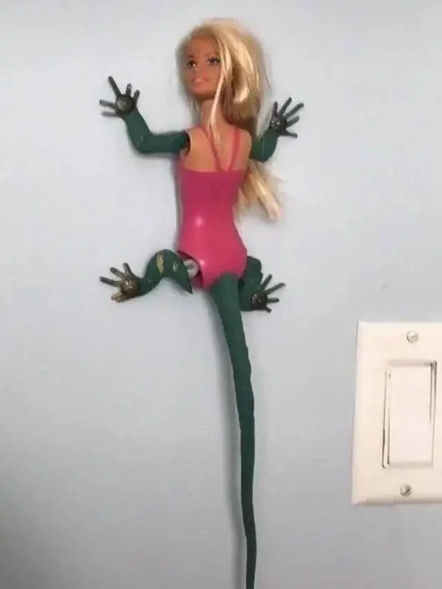 Забавные моменты из жизни, которые попали в объектив