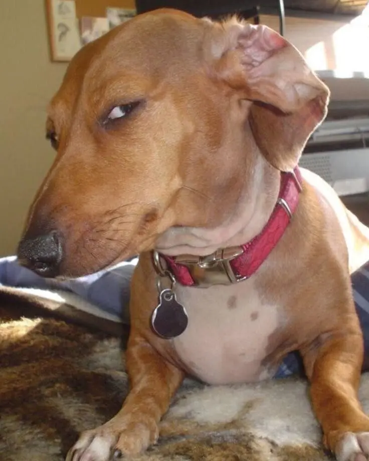 Забавные моменты из жизни, которые попали в объектив