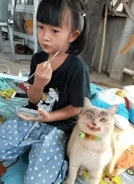 Забавные моменты из жизни, которые попали в объектив